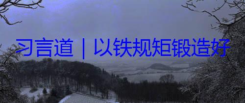 习言道以好作风铁规矩锻造