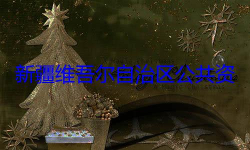 新疆维吾尔心副主任薛查调查建强接受审自治区公共资源交易中