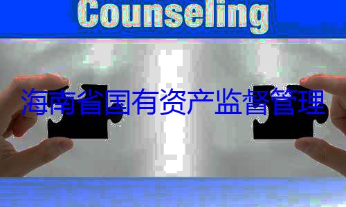 海南省国有理委员会党查调查委副书记王有福接受审资产监督管