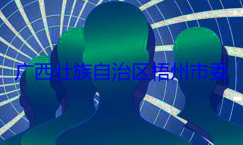 被查市长李振品广西壮族自委副书记治区梧州市